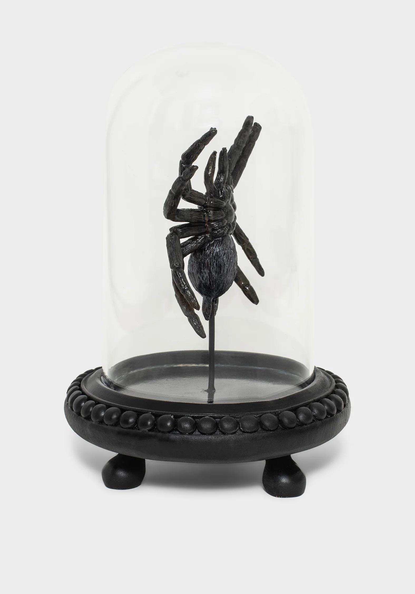 Arachne Spider In Jar - Image 6