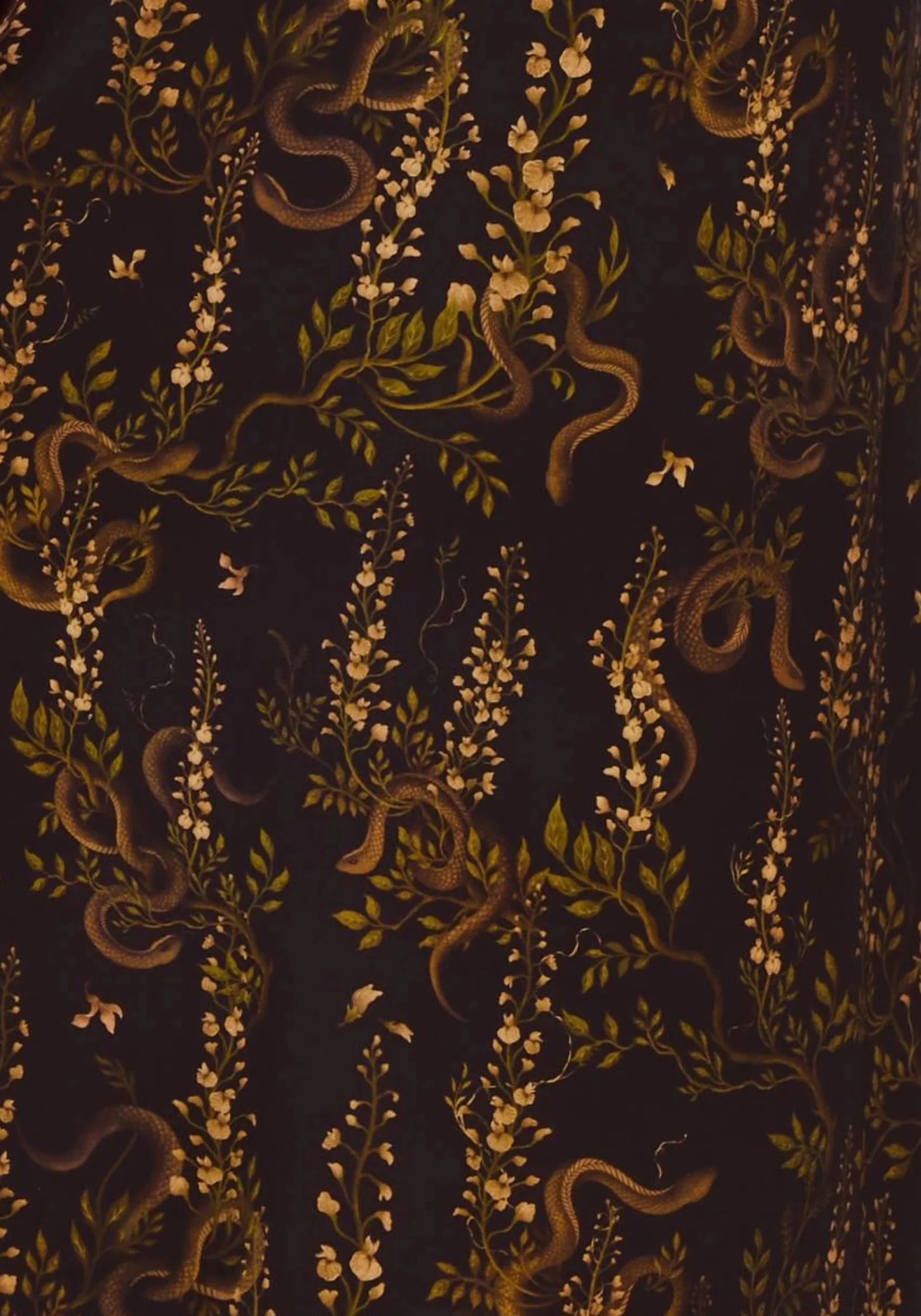 Azazel Snake Printed Midaxi Dress - Image 2