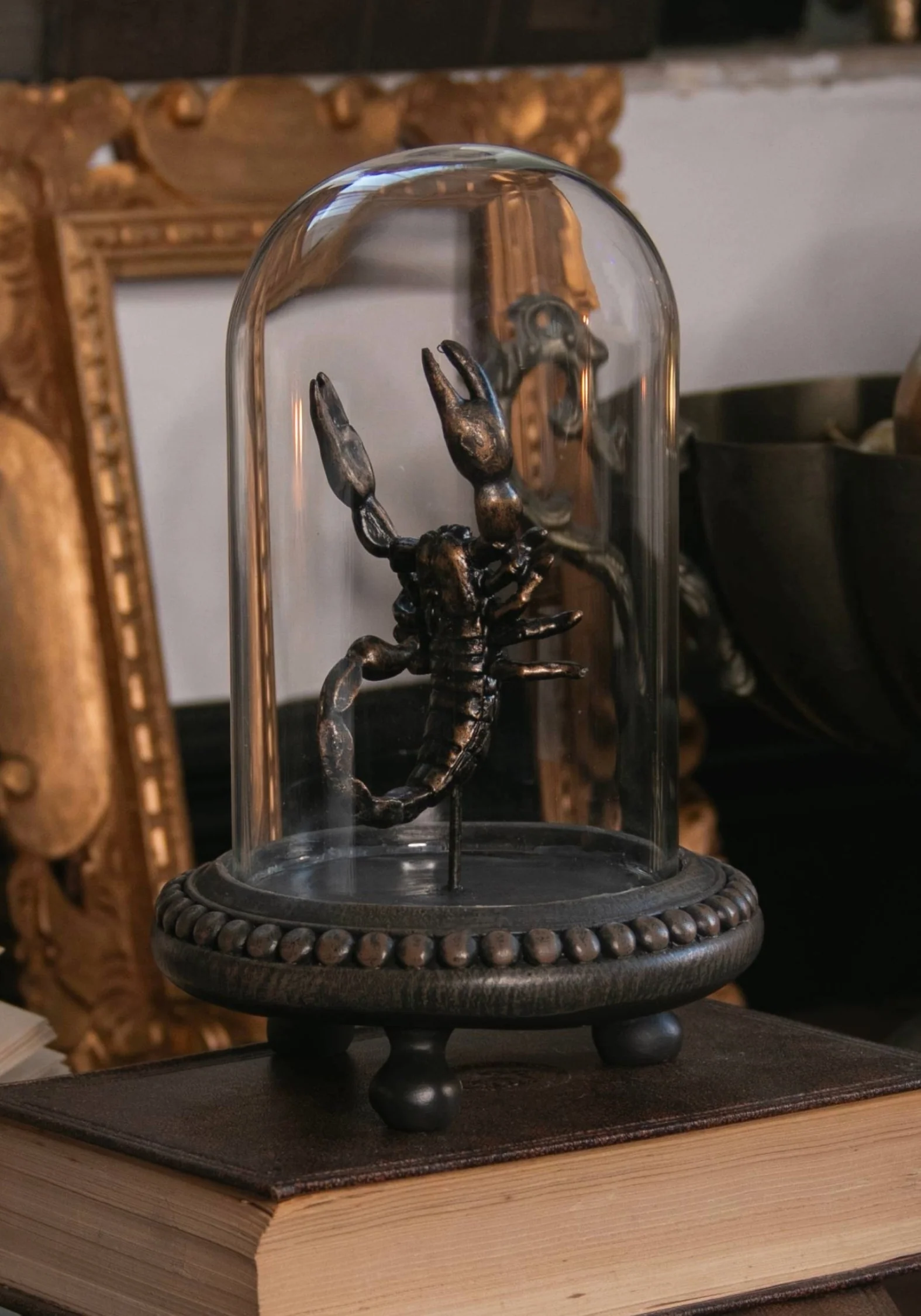 Skara Scorpion In Jar